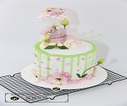 東莞塘廈蓮湖招聘面包中工、裱花中工，3500-4000，先到先得！